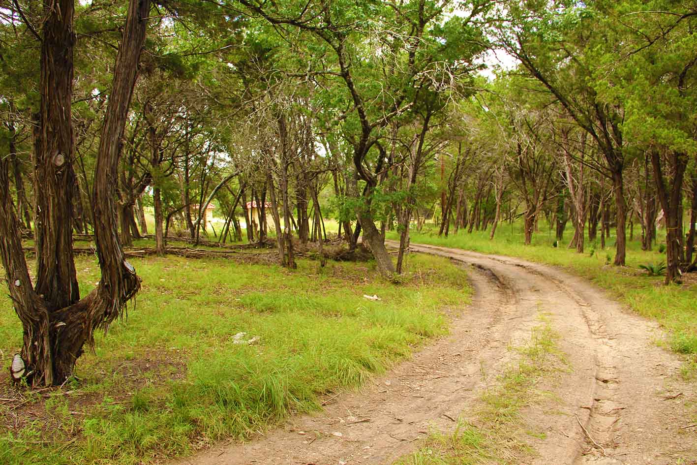 Austin Land For Sale 