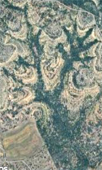 Nearly All Land Area Set For Conservation.